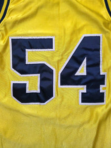 Vintage Mens Nike Michigan Wolverines Robert "Tractor" Traylor Authentic Jersey Size 52-Yellow