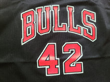 Load image into Gallery viewer, Vintage Toddler Champion Chicago Bulls Elton Brand Jersey Size Medium(5-6)-Black